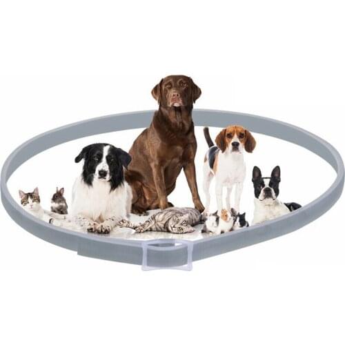 Adjustable Anti Flea and Tick Neck Collar For Dog Cat Pet 8 Months Protection Mosquitoes Repellent Collar Insect Mosquitoes