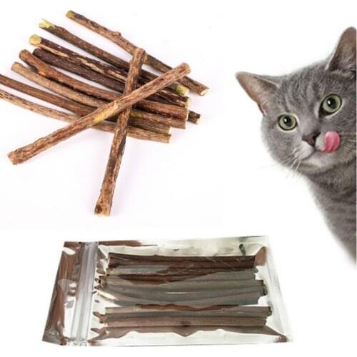 10/15/20pcs/Lot Pure Natural Catnip Pet Cat Toy Molar Toothpaste Wood Polygonum Sticks Branch Cleaning Teeth Cat Snacks Sticks