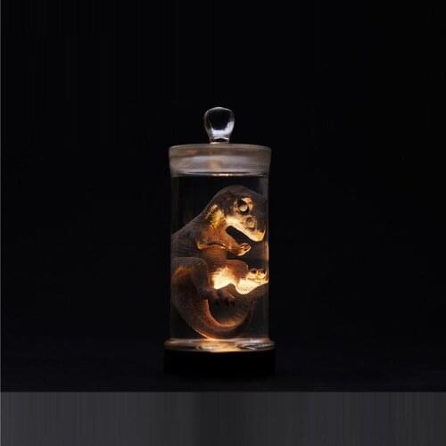 1: 48 proportion soldiers body element and carnivorous dinosaur pet young dragon manual model 21cm