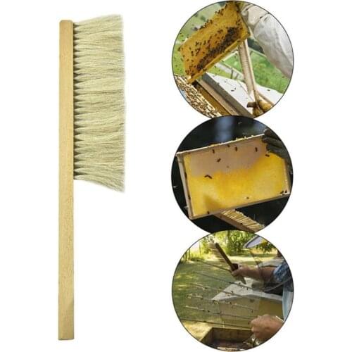 Beekeeping Tools Wood Wasp Sweep Brush Two Rows Of Horse Tail Hair New Bee Brush Beekeeping Equipment