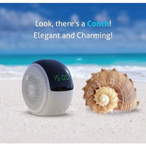 SooPii Car Electronics