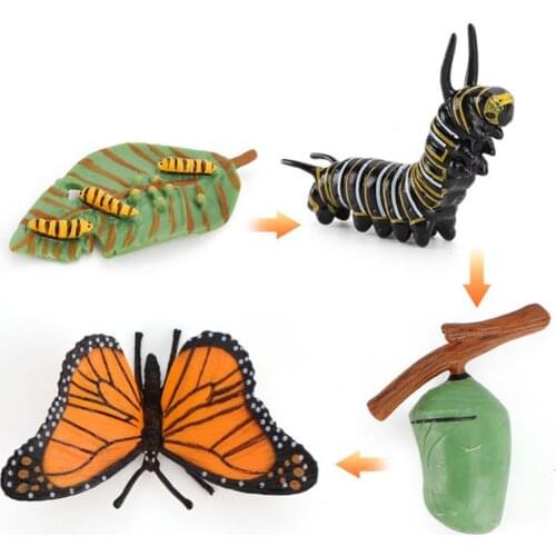 4Pcs/5Pcs Frog Tarantulas Butterfly Bee Animal Growth Observation Model Toys Early Educational Toy