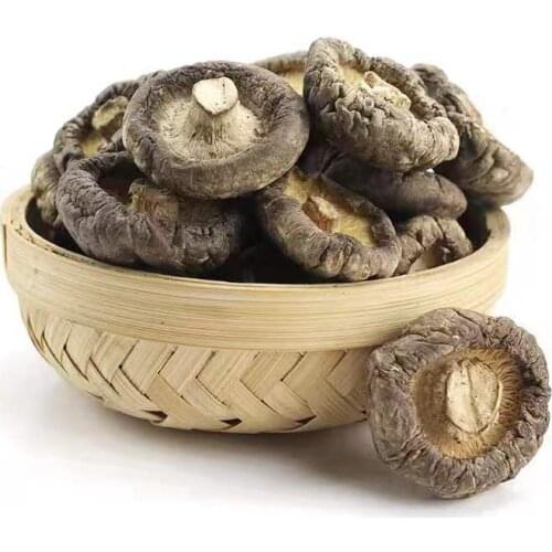 Dried Shiitake Mushrooms Premium Organic Grown Mushrooms Natural Food Fungus