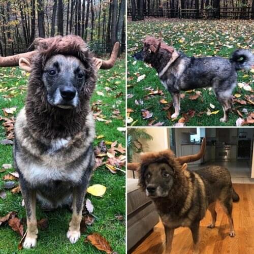 A Pet Costume Cosplay Cat Dog Bull Horn Headgear Wig Cute Dog Cap Hat Xmas Dress Costume