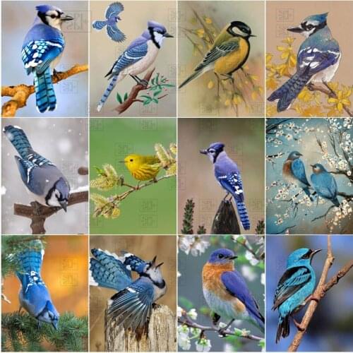 Full Square Round Drill 5D Diy Diamond Painting Birds Mosaic Wall Art Picture Embroidery Rhinestones Animal Home Decoration Gift