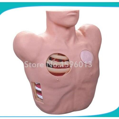 Pleural Drainage Simulator, Thoracentesis Drainage Model,Chest Drainage Nursing Model