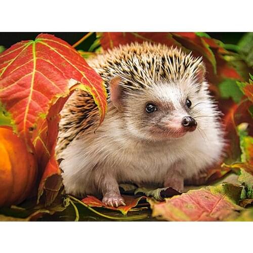 5D DIY Diamond Painting animal Hedgehog Diamond Cross Stitch Full Diamond Embroidery pattern Home Decoration Mosaic Painting