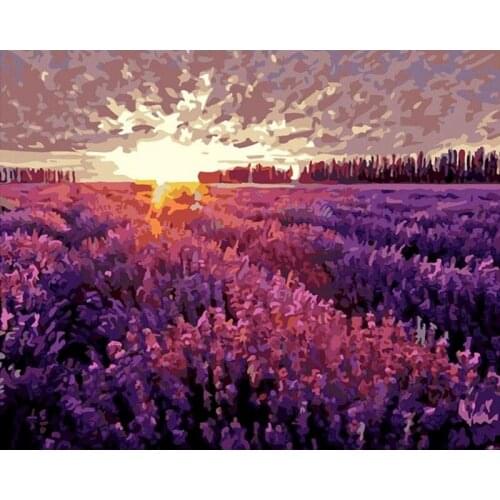GATYZTORY Diy Painting By Numbers Lavender Landscape Modern Home Diy Gift Handpainted On Canvas For Home Decors
