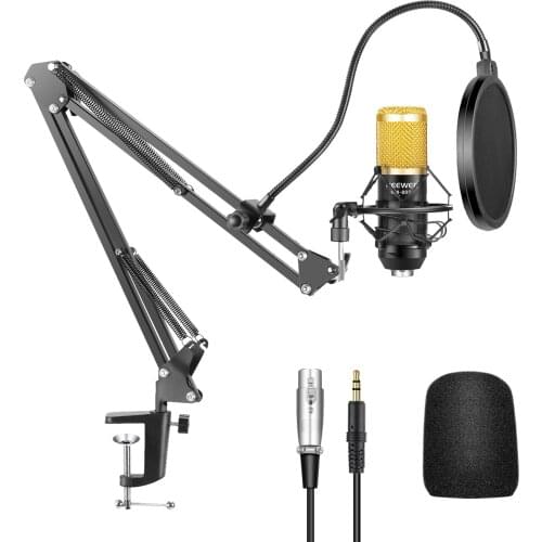 Neewer NW-800 Professional Studio Condenser Mic & NW-35 Adjustable Recording Mic Suspension Arm Stand with Shock Mount KIT