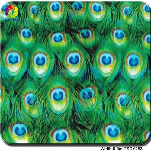 Free shipping TSAUTOP Size 0.5m x 2m/10m hydrographic film for water printing wholesale hydro dipping film WDF283