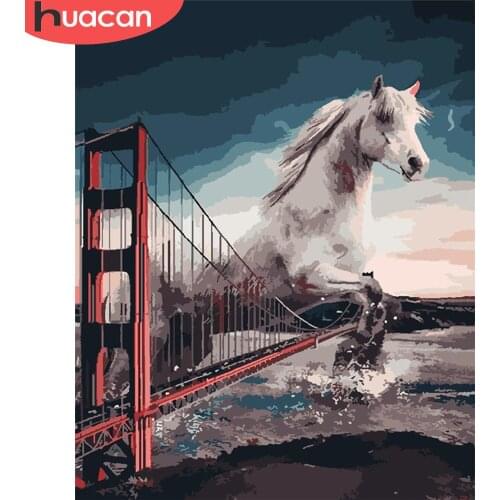 HUACAN Painting By Number Horse Hand Painted Paintings Art Gift DIY Pictures By Numbers Bridge Kits Drawing On Canvas Home Decor