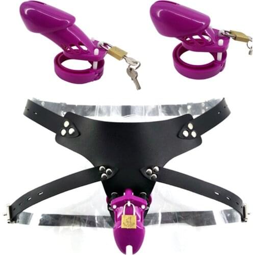 Purple CB6000S CB6000 Plastic Male Strap On Chastity Cage with Lock Penis Sleeve Ring Chastity Devices Sex Toys for Men G7-3-12