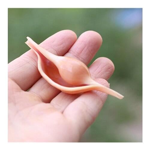 Natural Conch Shell Hare Conch Specimen Conch Collection Gift Fish Tank Aquarium Home Decoration