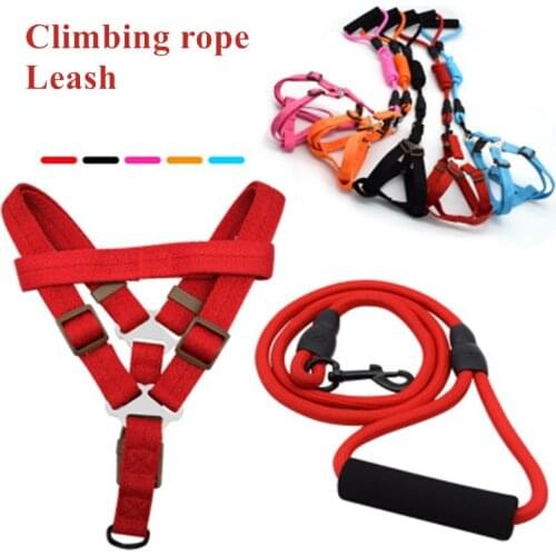 Classic Monochrome Pet Dog Collar Harness Leash Soft Pet Cat Walking Harness Lead Colorful and Durable Traction Rope Nylon 120cm