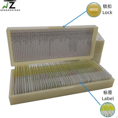 50pcs Glass Mixed Prepared Microscope Slides