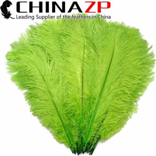 CHINAZP Factory Large Size 50-55cm(20-22inch) Exporting Good Quality 50pcs/lot Dyed Lime Green Ostrich Feathers