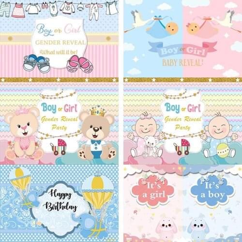 Custom Gender Reveal Party Backdrop Newborn Baby Shower Banner Photobooth Boy or Girl Birdie Photography Background Vinyl