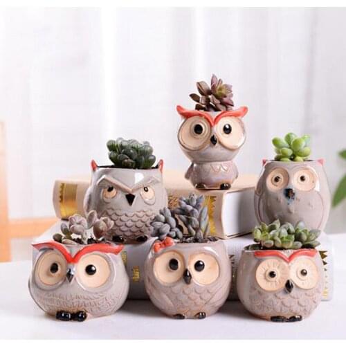 Mini Owl Flowerpot groot Planter Home Office Decor Plant animal Succulent Cactus Bonsai Holder Home Garden Decoration