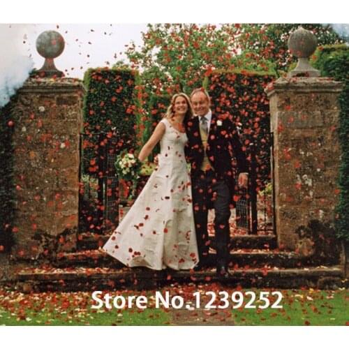 350pcs Wedding Supplies Marriage Props Wedding Guelder Hydrangea Silk Rose Flowers Petals For Valentines Day Decoration Flowers