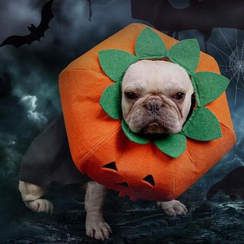 Halloween Dog Pumpkin Collar Anti Licking Biting Party Pet Fancy Dress Costume