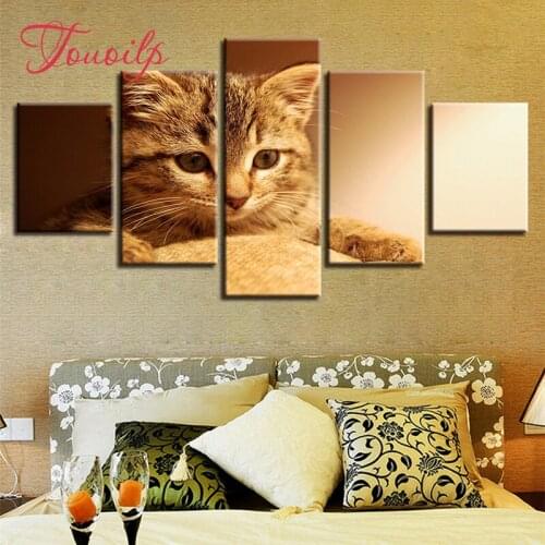 5D Diy Lovely Cats spuare&round diamond painting crystal 5d diy diamond embroidery diy crystal painting cross stitchsets
