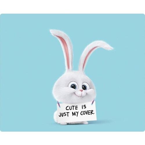 Kawaii Cartoon Antiskid Waterproof Desk Mat Mouse Pad Computer School Office Stationery Accessories Gaming Mouse Mat Cute Mat