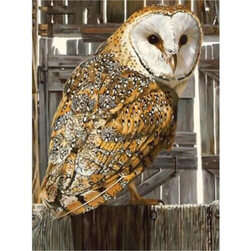 Grey Owl Rhinestone Embroidery Cross Stitch 5D DIY Animal Full Round Square Diamond Painting Exquisite Decoration XN886