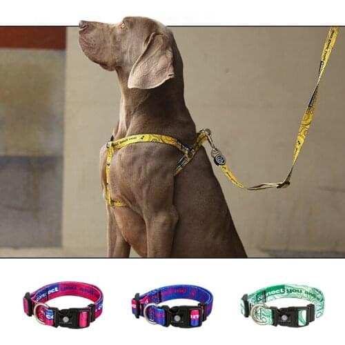 EVERKING letter Pet Collar Dog Leash and harness Set retractable leash for Small medium and large dog accessories for dog yellow