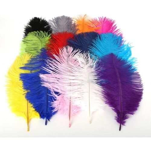 10pcs 15-20cm(6-8") Ostrich Feather 13 mix colors DIY Jewelry Craft Making & Wedding Party Clothing Decoration