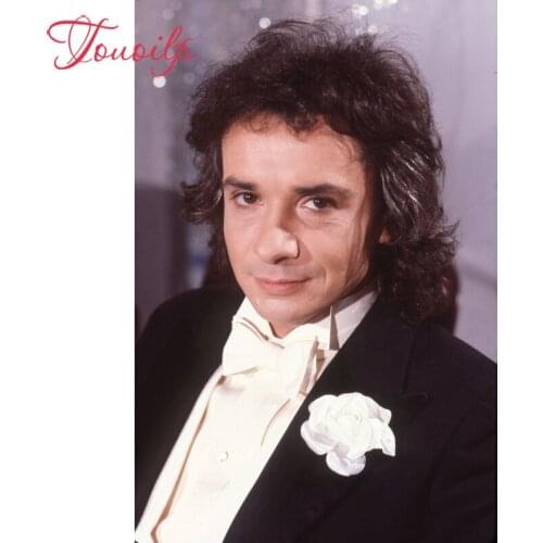 TOUOILP 5D Diamanten crystal square&round diamond sets decorative 5d France rock singer Michel Sardou diamond painting mountain