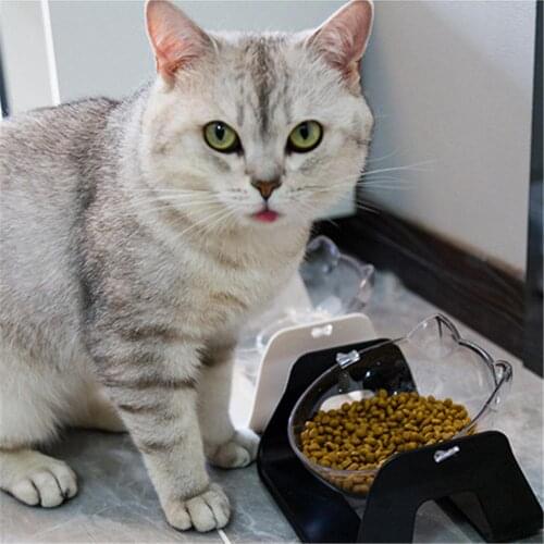 Non-slip Cat Bowls Single Bowls With Raised Stand 15 Degree Pet Food And Water Bowls For Cats Dogs Feeders Cat Bowl Pet Supplies