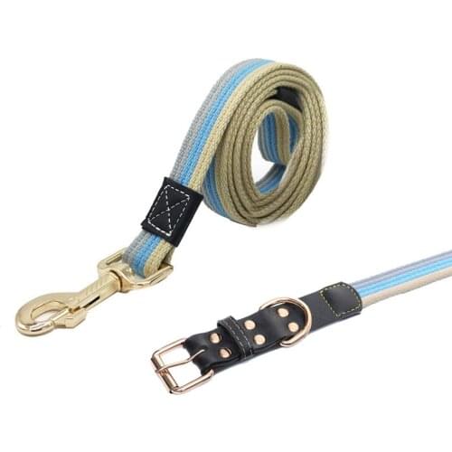 Pet Dog Harness Leash Set Pet Training Traction Rope Pet Walk Lead Leash for Small Medium Dogs Cat Pug Chihuahua Bulldog