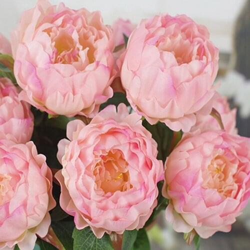 Dia 10cm Flower Head Upscale Artificial Peony Flower Elegant 5 Heads one Branch Bouquet For Home Living Table Decoration