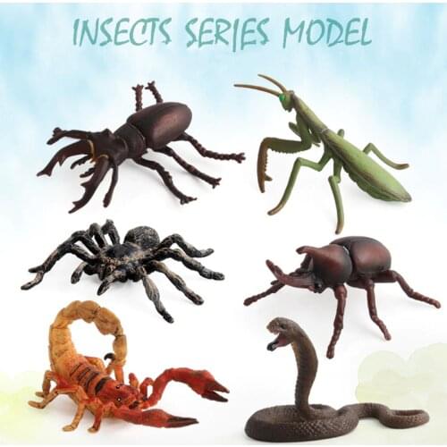 Simulation Insect Animal model figure Beetle spider Cobra Scorpion Mantis hot toys for children toys for children