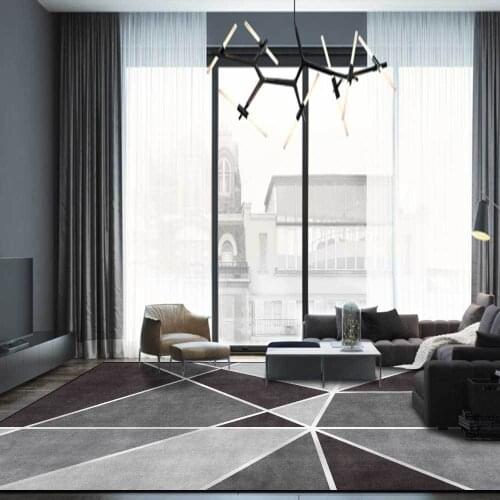 Home Large Area Carpets for Living Room Bedroom Area Rugs Nordic Parlor Coffee Table Non-slip Mat Modern Family Geometric Carpet