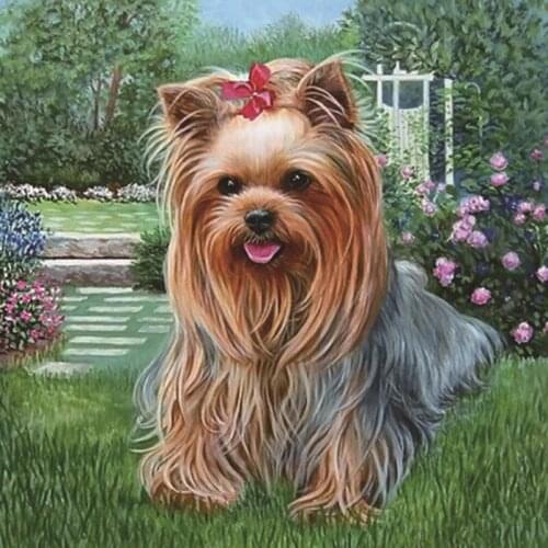 3D Full Diamond Embroidery Diamonds Mosaic Kit Diy Diamond Painting Animal Pasted Pictures Square Resin Drill Princess Dog