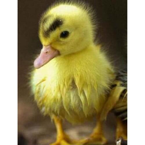 5D DIY Diamond Painting Animal Painting Square Round Diamond Embroidery Duckling Picture Mosaic Home Decoration Gift WG2755