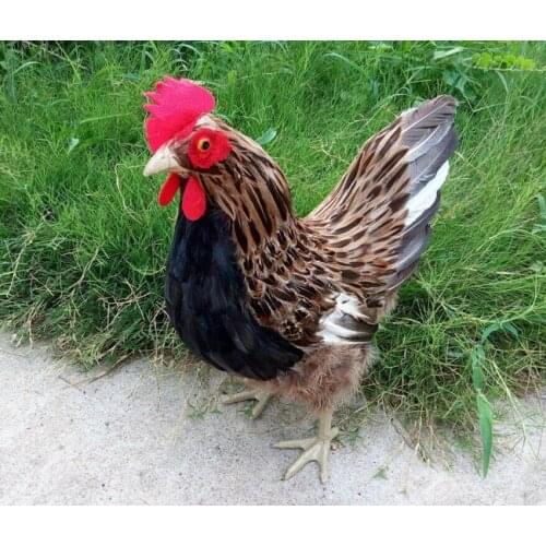 1:1 model plastic&fur feathers simulation hen large 39x18x40cm hard model craft home decoration toy gift w0191