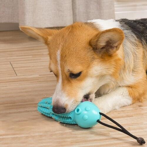 Dog Chew Toy Rubber Portable Puppy Teeth Cleaning Toy Dog Treat Toy for Puppies