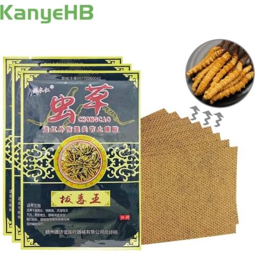 16pcs/2bags Precious Cordyceps Rheumatism Patch Body Back Muscle Fatigue Arthritis Orthopedic Joint Pain Killer Medical Plaster