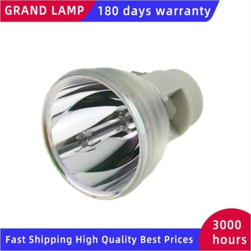 P-VIP 190W E20.8 SP.73701GC01 Projector Lamp Bulb For Optoma S310e/S310x/W312/X312