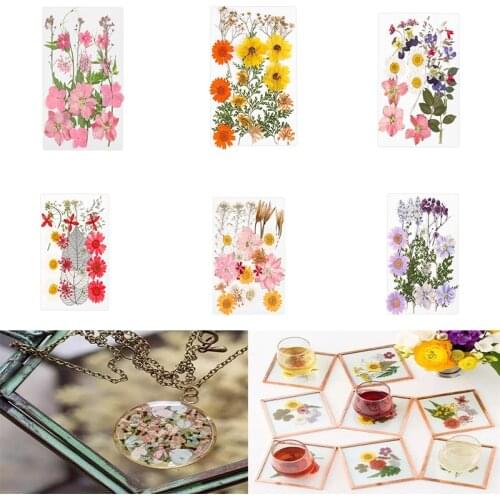1 Bag Real Dried Flowers Dry Plants Preserved Flower For DIY Aromatherapy Candle Epoxy Resin Pendant Necklace Jewelry Making
