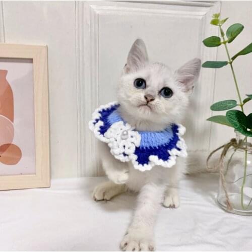 New autumn and winter pet clothes puppy plus velvet warm clothes