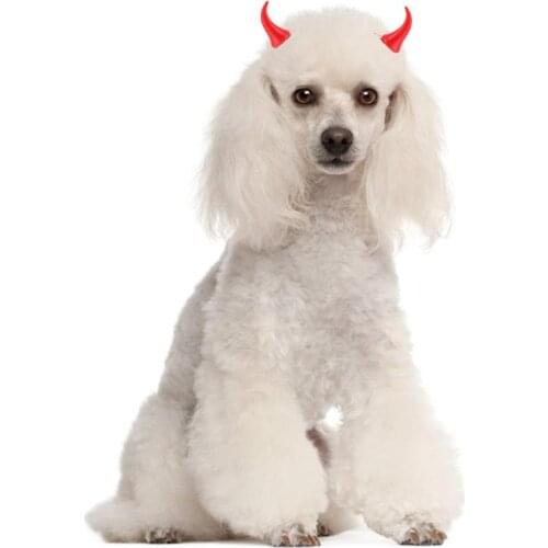 1 Pair Pet Dog Clip Fashion Creative Small Demon OX Horn Hairpins For Halloween Party Puppy Kitten Hair Clip Decor Dog Accessory