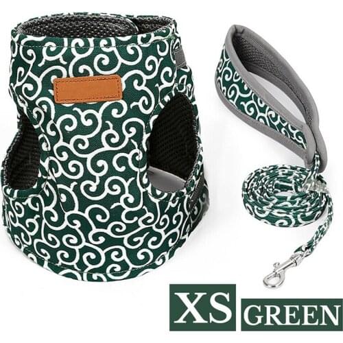 Pet Cat Kitten Vest Harness and Leash Walking Lead Chest Strap Jacket Set Outdoor Walking Lead Leash Set