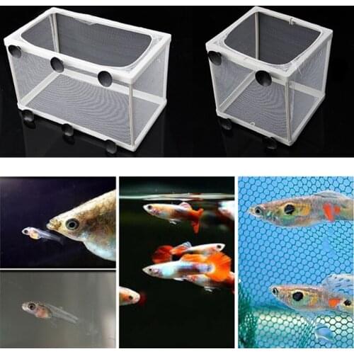 Fish Tank Aquarium Breeding Guppy Breeder Fish Baby Gauze Trap Box Isolator S/L Compact Drop Ship
