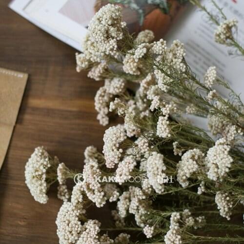 INS Fresh White Pink Natural Dried Flower Bouquet Decoration Natural Flower Arrangement Wedding Soft Set Livin