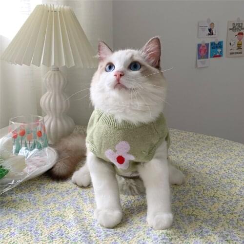 Autumn Winter Sweater Teddy Small Dog Cat Warm Clothes Pet For Kitten Puppy Clothing Lovely Hoodies Cute Pet Costume N79