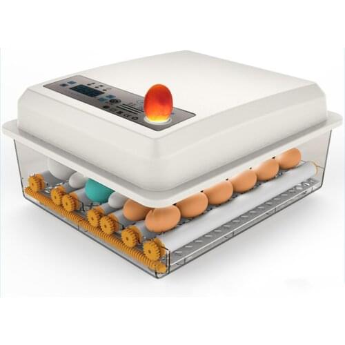 Egg Incubator Fully Automatic 16 Eggs Brooder Chicken Bird Egg Incubator Automatic Farm Commercial Hatching Machine