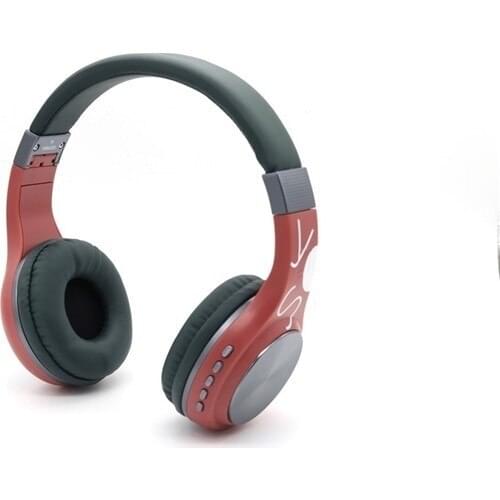 Baderis Headphones With Microphone